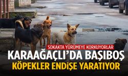 Karaağaçlı sakinleri tedirgin! Sokaklar köpeklerle dolu