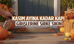 Örümcekleri tek hamlede uzaklaştırıyor... Kasım ayına kadar sıkın!