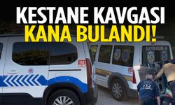 Kestane kavgasında silahlar konuştu! Aynı aileden üç kişi vuruldu