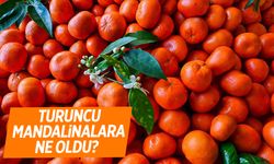 Herkes merak ediyor… Turuncu mandalinalara ne oldu?