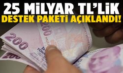 Başvurular başlıyor! 25 milyar TL’lik destek paketi açıklandı