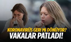 Koronavirüs geri mi dönüyor? Vakalar patladı! Yüzde 80…