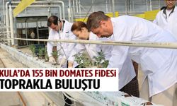 Kula’da jeotermal serada yeni sezon başladı!