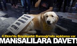 Hayvanseverler 4 Ekim’de sokağa iniyor… Manisa’da adres Büyükşehir Barınağı