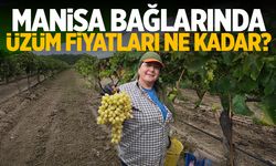 Manisa bağlarında üzümün fiyatı belli oldu