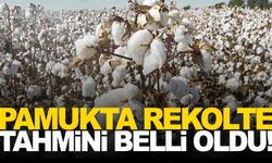 Manisa da toplantıdaydı… Ege’de pamuk rekoltesi tahmini 410 bin ton!
