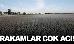Manisa ve Ege’de 18 yılın en şiddetli kuraklığı yaşanıyor