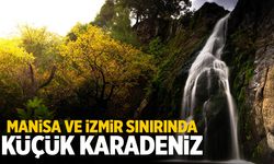 Manisa ve İzmir sınırında küçük Karadeniz: Gideni mest ediyor...