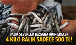 Manisa’da balık severler tezgahlara akın edecek! 4 kilo balık sadece 500 TL