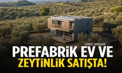 Manisa’da prefabrik ev ve zeytinlik satılıyor!