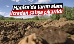 Manisa'da tarım alanı icradan satışa çıkarıldı