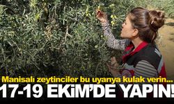 Manisa’da zeytin sineğine karşı acil uyarı: Üreticiler 17-19 Ekim’de ilaçlama yapmalı