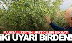 Zeytinde 2 tehlike baş gösterdi… Üreticilere uyarı var!