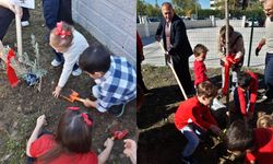 Minik eller Cumhuriyet için fidan dikti