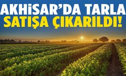 Akhisar’da satılık tarla sahibini bekliyor!