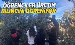Gölmarmaralı öğrencilerden zeytin hasadıyla üretim dersi!