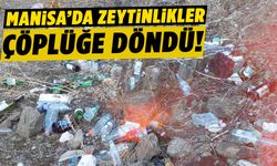 Manisa’da çiftçiden isyan: Zeytinlik çöplüğe döndü!