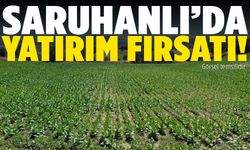 Saruhanlı’da büyük fırsat! Satışa çıkarıldı…