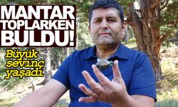 Mantar toplarken buldu… Büyük sevinç yaşadı!