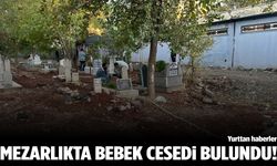 Mezarlıkta bebek cesedi bulundu