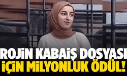 Rojin cinayetini aydınlatanlara 4 milyonluk ödül!