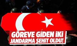 Göreve giden 2 jandarma şehit oldu