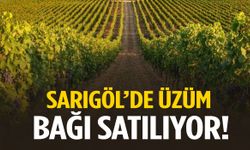 Sarıgöl’de üzüm bağı satılıyor!