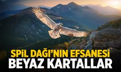 Spil Dağı’nın beyaz kartalları!