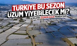 Türkiye bu sezon üzüm yiyebilecek mi? Manisa'dan açıklama var!