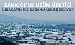 Üzüm üreticilerinden tüccarlara ültimatom!