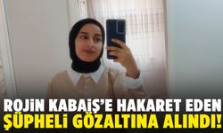 Rojin Kabaiş’e hakaret eden şüpheli gözaltına alındı!