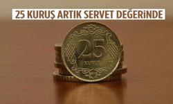 25 kuruş rekor fiyatlara satılıyor!