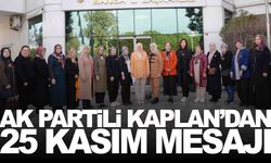 AK Partili Kaplan’dan 25 Kasım mesajı