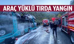Araç yüklü tır alev alev yandı