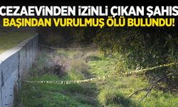 Cezaevinden izinli çıkan mahkum silahla vurularak öldürüldü!