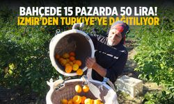 Bahçede 15, pazarda 50 lira! İzmir'den Türkiye'ye dağıtılıyor...