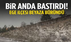Bir anda bastırdı… Ege ilçesine ceviz büyüklüğünde dolu yağdı!