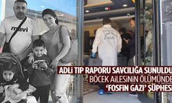 Böcek ailesinin ölümünde yeni gelişme! ‘Fosfin gazı’ şüphesi…