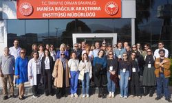 CBÜ, AB destekli iklim projesinin eğitici eğitimine ev sahipliği yaptı