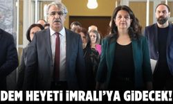 DEM Parti Heyeti yeniden İmralı’ya gidecek