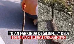 Ege’de akıl almaz anlar! Zehirli yılanı elleriyle yakalayıp sevdi…