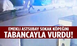 Emekli astsubay sokak köpeğini tabancayla vurdu