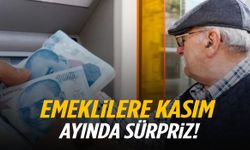 Emeklilere Kasım ayında sürpriz! Çifte ödeme…