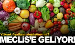 Fiyatları düşürecek hamle yılbaşında Meclis’e geliyor!