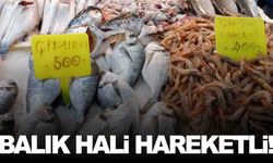Foça Balık Hali’nde hareketlilik başladı... Balık tutkunları akın ediyor