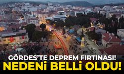 Gördes'te deprem fırtınası! Büyük depreme yol açar mı?