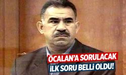 Heyet gidiyor! Öcalan'a sorulacak ilk soru belli oldu