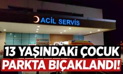13 yaşındaki çocuk parkta bıçaklandı