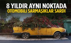 İzmir’de 8 yıldır park halindeki araç sarmaşıklarla kaplandı