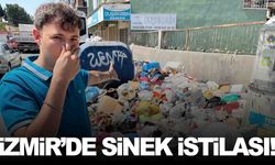 İzmir’deki çöp krizi yeni bir tehlikeyi doğurdu… Kentte sinek istilası başladı!